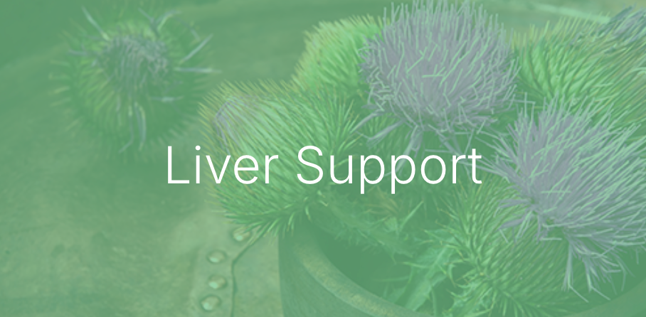 Liver Support