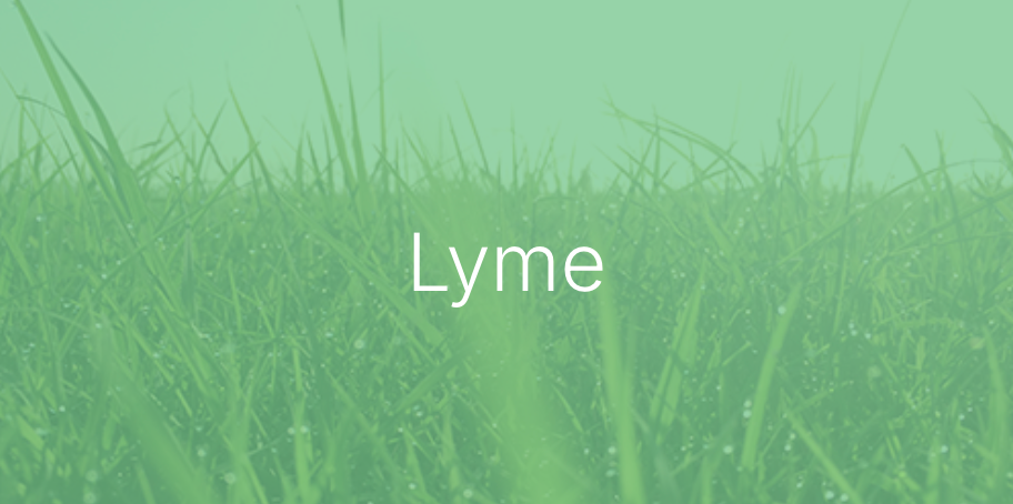 Lyme