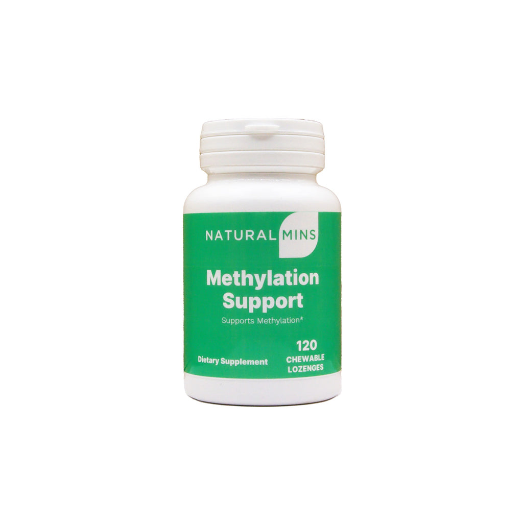 Methylation Support